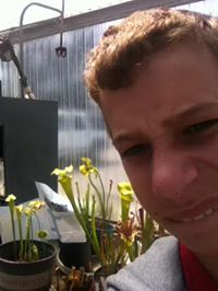 dgreen_dragon