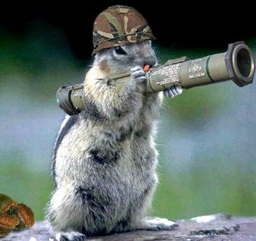 Squirrelboy38