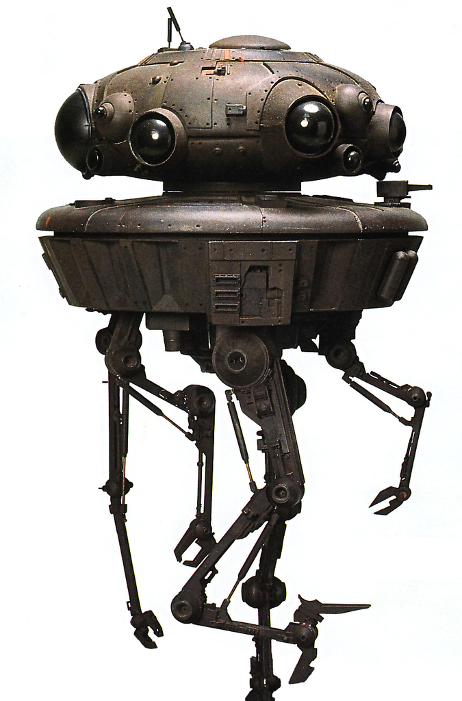 DMBerticus