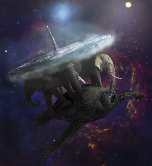 Crazy_Croco