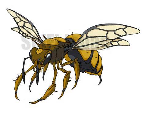 KillaBees