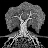 druidoftheoldways