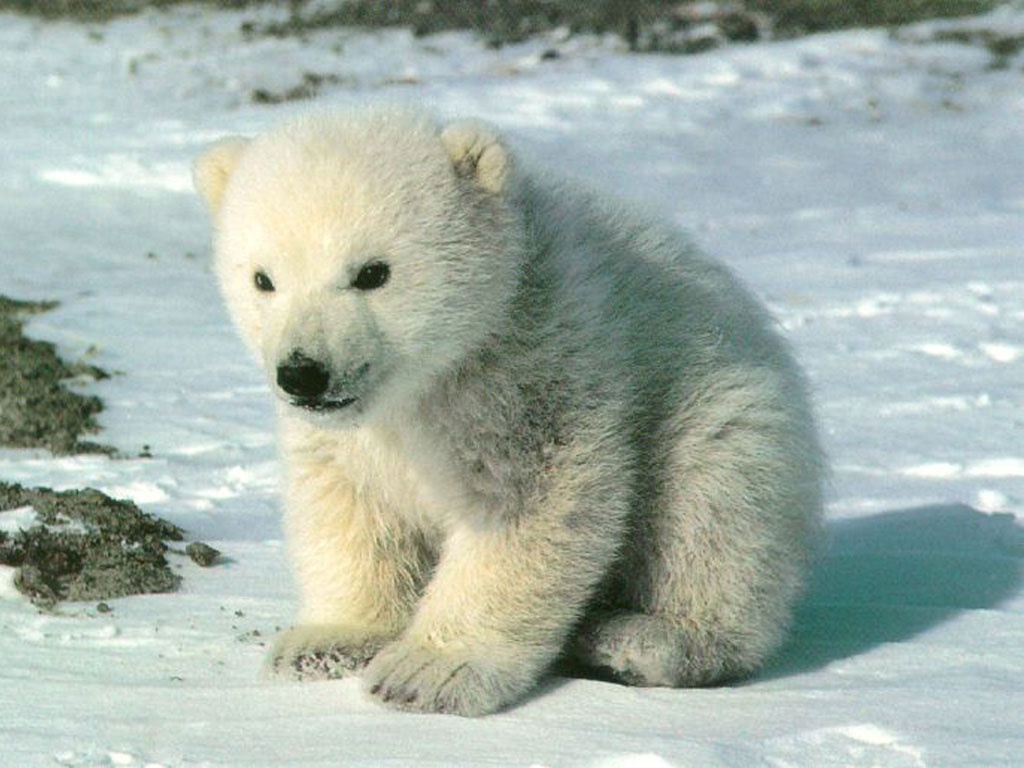 Vigilantstatue