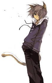 alchemistcat