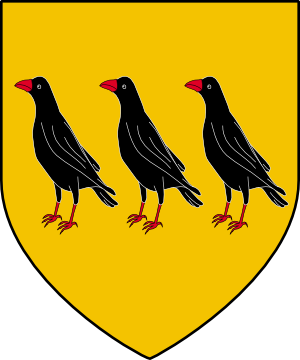 Jackdaw