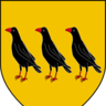 Jackdaw