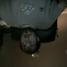 tyleredwards19