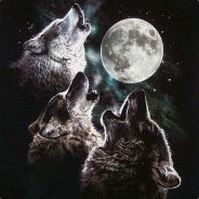 Th3Pwnish3r