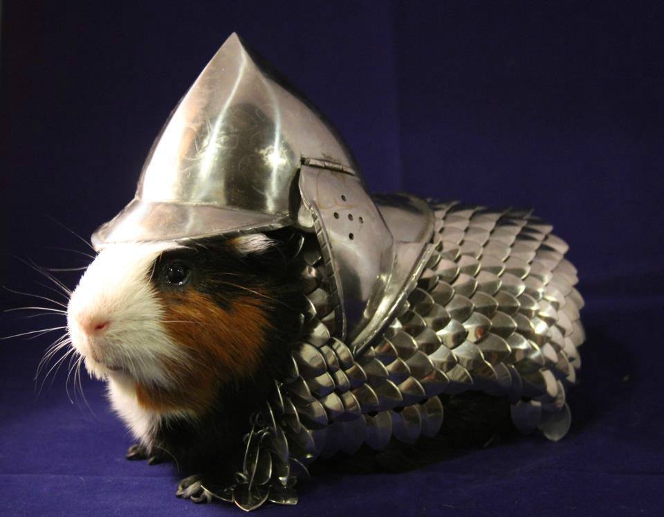 thorngumbald