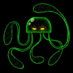 JadeKraken