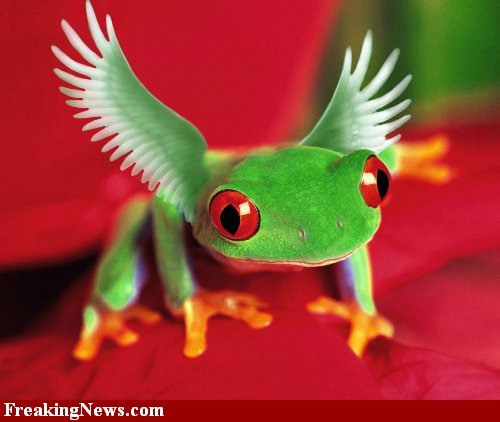 SprinklesTheFrog