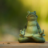 ZenMaster