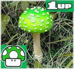 debulhador