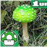 debulhador