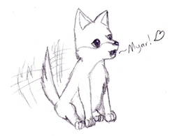 lwCoyote