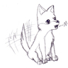 lwCoyote