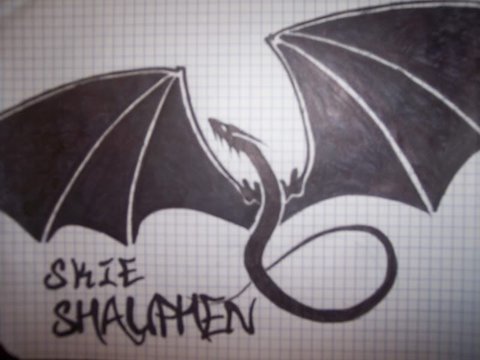 skie_shauphen15