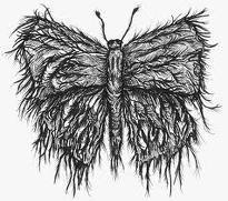 Mothdust