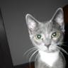 sirchet