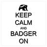 RidiculousBadger