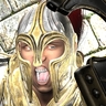 paladinpariah