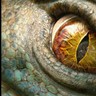 Teller_of_Tales