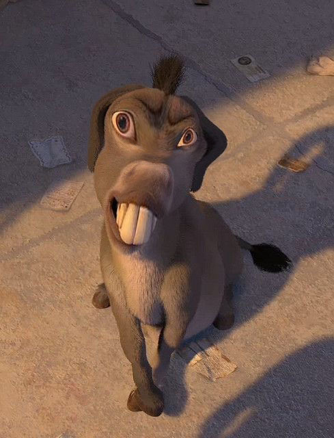 DonkeyMcDonkeyFace