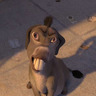 DonkeyMcDonkeyFace