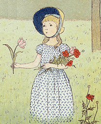 Coquelicot
