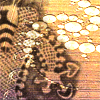 dervishspin