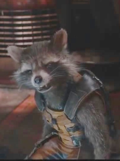mikelasagna