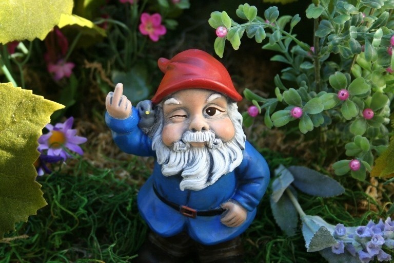 KLFrank