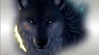 lonewolfmg