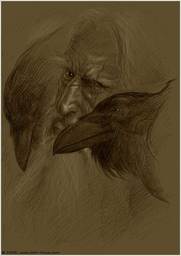 Hugin_Munin