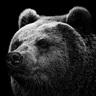 thegrizzled86