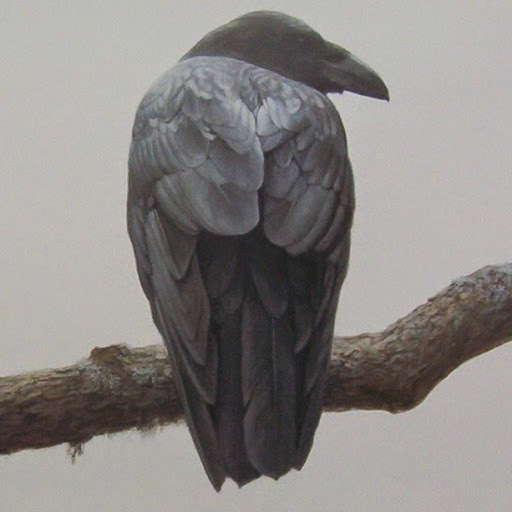 sarashinai
