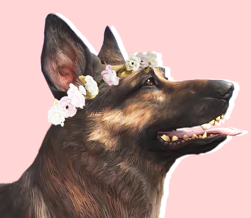 Stealth_Doggo