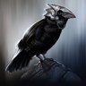 Cherry_Bird