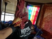 ComradeBobcat