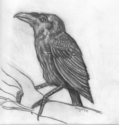 AlephTau