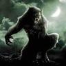 wolf3191