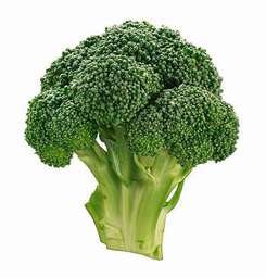 organicveggie