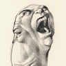 DocSeth