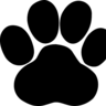 junai