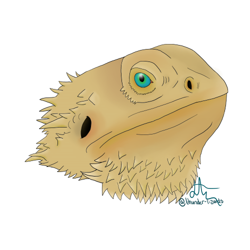 thunder_lizards