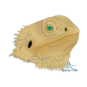 thunder_lizards