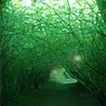 eidolongreen