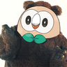 Majestic_Acid_Bear