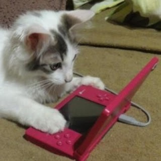 wertcatt