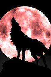Keeper_WiseWolf